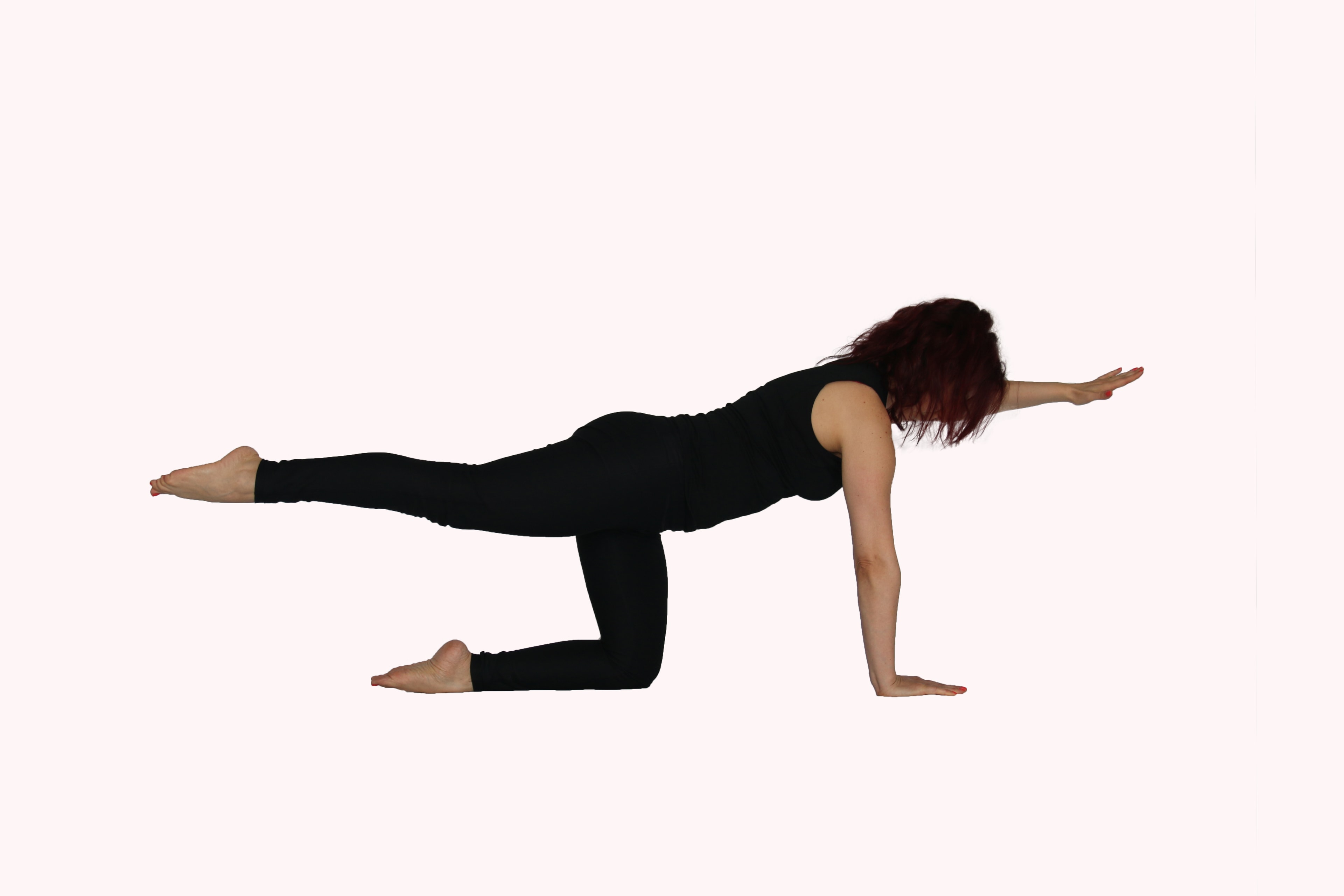 Apple Core Fitness Studio